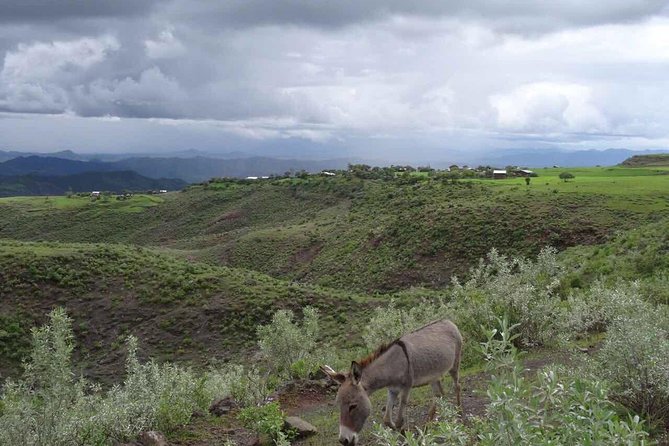 Lalibela Churches Guided Tour - Highlights of Lalibela Churches