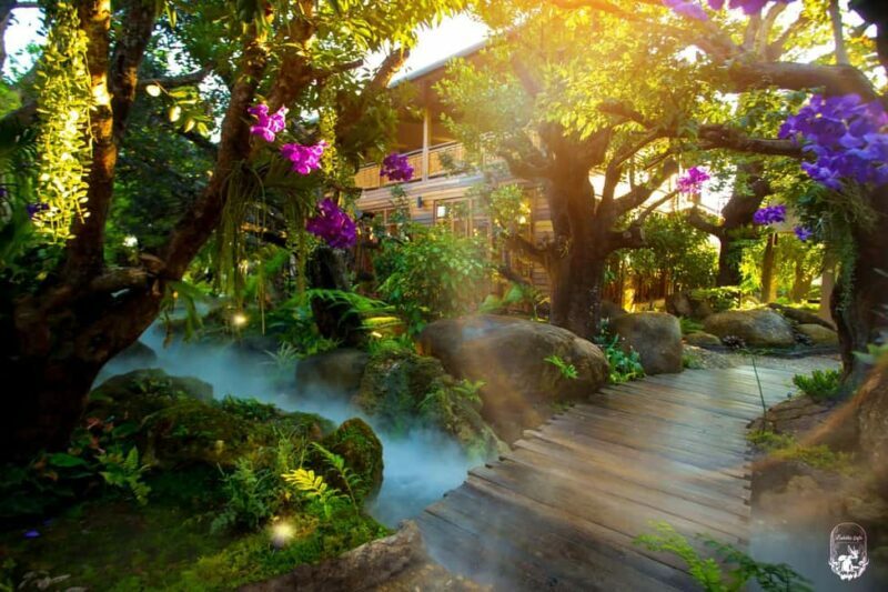 Lalita Cafe & Chiang Rai Temple(White+Blue) from Chiangmai - Who Should Consider This Tour?