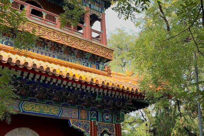 Lama Temple Tour with Tickets: Beijing's Hidden Mystical World - What Visitors Say
