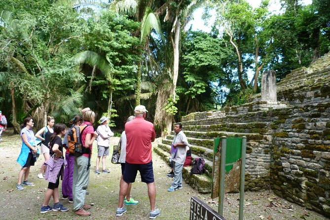 Lamanai Maya Ruin & New River Wildlife Adventure From Belize City - Observing Wildlife