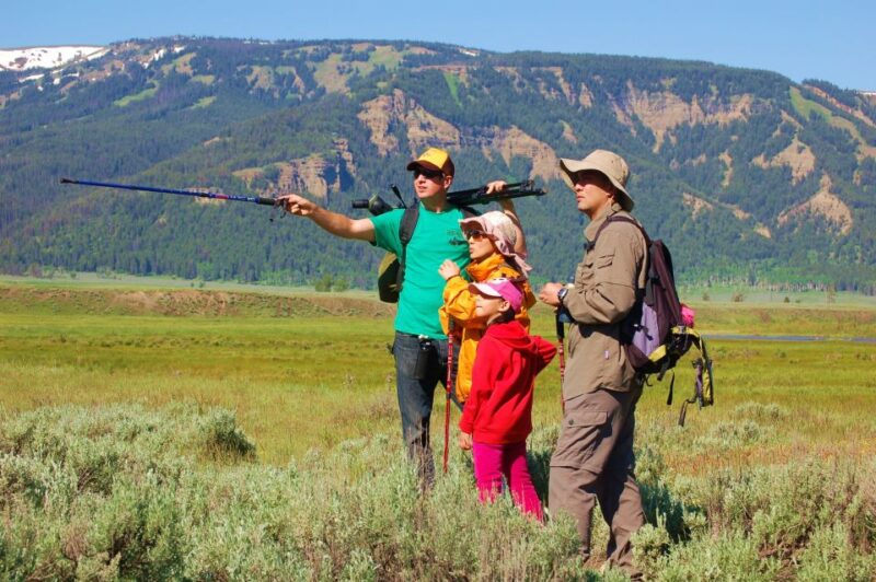 Lamar Valley: Safari Hiking Tour With Lunch - Wildlife Experience