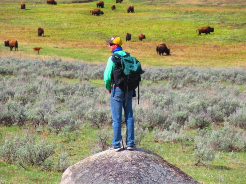 Lamar Valley: Safari Hiking Tour With Lunch - Included Amenities