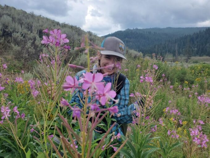 Lamar Valley: Safari Hiking Tour With Lunch - Customer Feedback