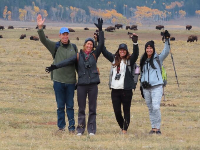 Lamar Valley: Safari Hiking Tour With Lunch - Cancellation and Booking Policy