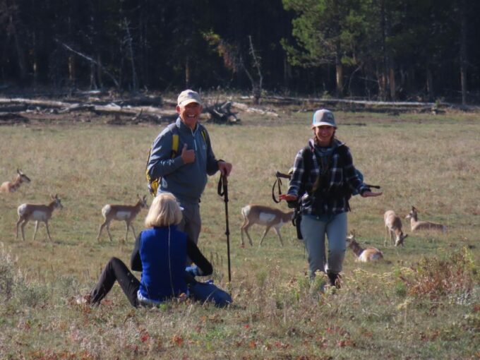 Lamar Valley: Safari Hiking Tour With Lunch - Frequently Asked Questions