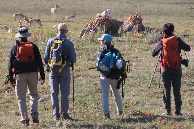 Lamar Valley Safari Hiking Tour With Lunch - Pricing and Cancellation Policy
