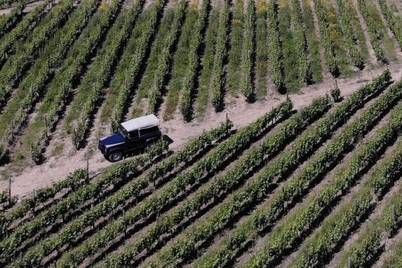 Lamego: Quinta Da Portela De Baixo Winery Tour and Tasting - Tour Pricing and Cancellation