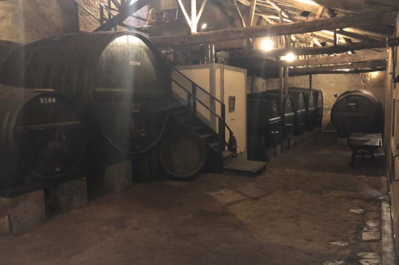 Lamego: Quinta Da Portela De Baixo Winery Tour and Tasting - Available Languages and Group Types