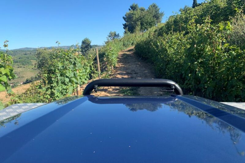 Lamego: Quinta Da Portela De Baixo Winery Tour and Tasting - Booking and Reservation Details