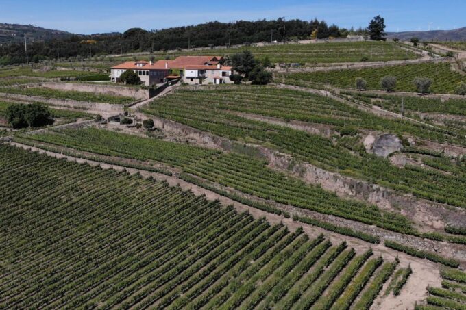 Lamego: Quinta Da Portela De Baixo Winery Tour and Tasting - Additional Tour Information