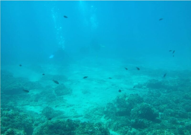 Lametlla De Mar: Sea Diving With Instructor - Cancellation Policy
