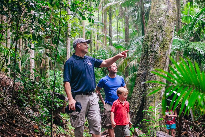 Lamington National Park, OReillys & Vineyard Tour - Booking and Confirmation