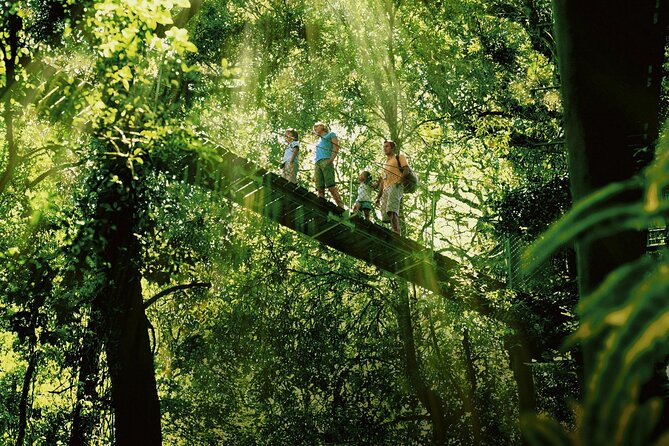 Lamington National Park, OReillys & Vineyard Tour - Age and Group Restrictions