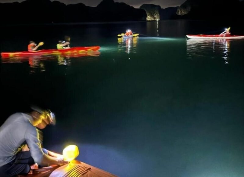 Lan Ha Adventure: Sunset-Plankton Bioluminescent Night Kayak - Key Points