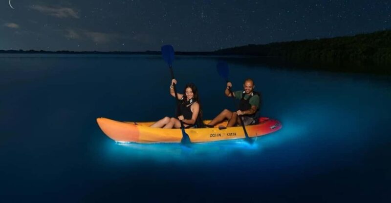 Lan Ha Bay: Bioluminescent Kayak Tour: Sunset, Diner, Ticket - Key Points