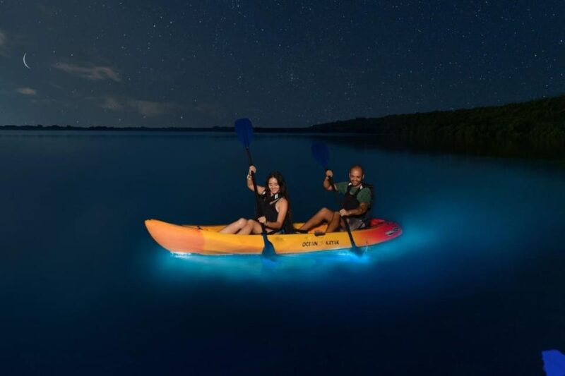 Lan Ha Bay: Bioluminescent Kayak Tour: Sunset, Diner, Ticket - Itinerary and Experience