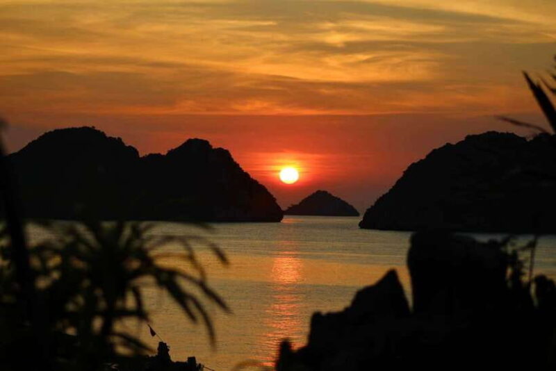 Lan Ha Bay: Bioluminescent Plankton Kayak Tour From Beo Pier - Itinerary and Experience