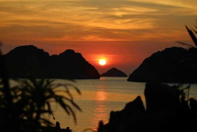 Lan Ha Bay: Bioluminescent Plankton Kayak Tour From Beo Pier - Discovering the Bioluminescent Wonders of Lan Ha Bay
