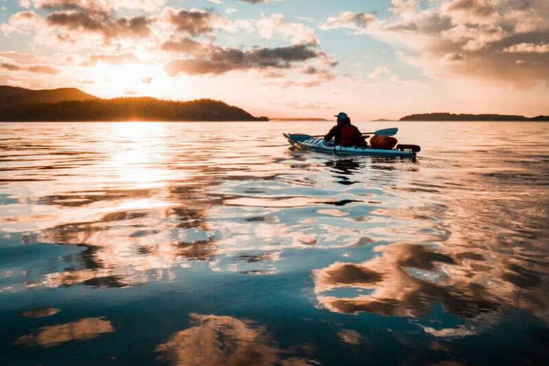 Lan Ha Bay: Bioluminescent Plankton Kayak Tour With Dinner - Key Points