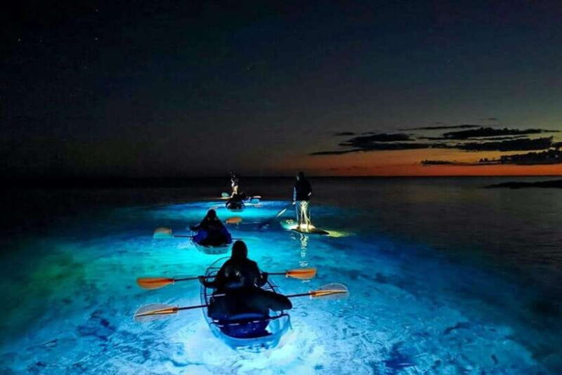 Lan Ha Bay: Bioluminescent Plankton Kayak Tour With Dinner - Itinerary