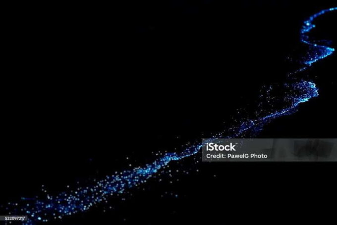 Lan Ha Bay: Bioluminescent Plankton Kayak Tour With Dinner - Exploring the Bioluminescent Plankton