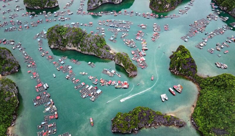 Lan Ha Bay Boutique Cruise 2D1N: Kayaking, Swimming, Biking - Key Points