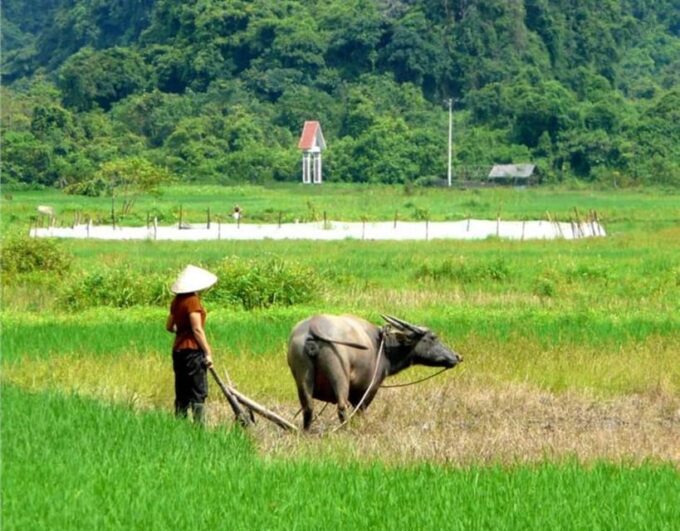 Lan Ha Bay - Cat Ba Island 2D1N Private Boat From Hanoi - Frequently Asked Questions