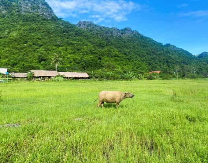 Lan Ha Bay Cruise 2d1n: BBQ Dinner and Ancient Village - Itinerary Highlights