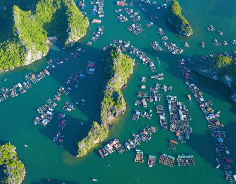 Lan Ha Bay Cruise 2d1n: BBQ Dinner and Ancient Village - Included Amenities