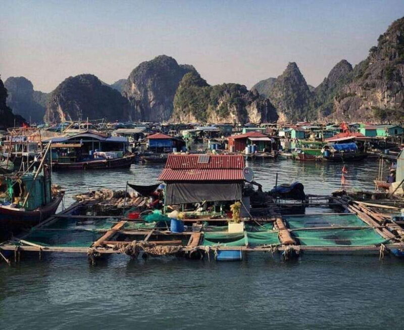 Lan Ha Bay : Kayak & Swim ( Small Group ) - Visit to Cai Beo Floating Village