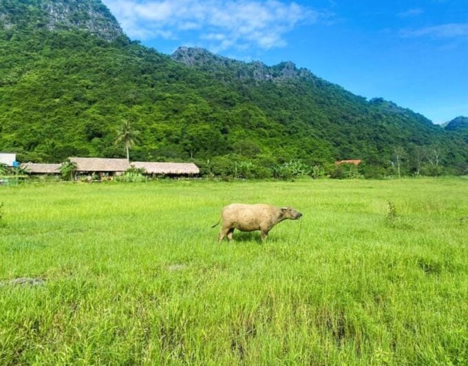 Lan Ha Bay: Kayaking, Biking- Private Canoe From Halong City - Water Activities and Relaxation
