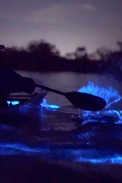 Lan Ha Bay | Night Kayaking Explore Bioluminescence Plankton - Itinerary Highlights