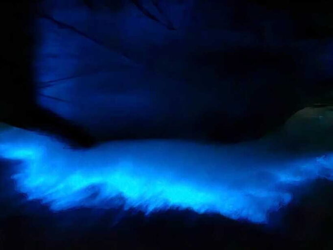 Lan Ha Bay Sunset and Night Kayak With Bioluminescence - Preparing for the Night Kayak
