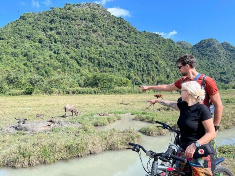 Lan Ha Bay, Viet Hai Village Boutique Cruise - Inclusions and Highlights