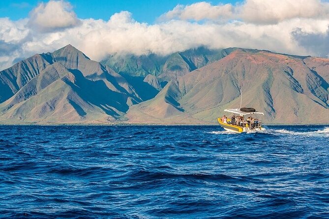 Lanai Deluxe Dolphin Adventure & 3 Snorkel Sites - Included in the Experience