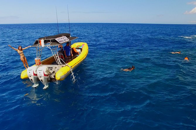 Lanai Deluxe Dolphin Adventure & 3 Snorkel Sites - Meeting and Safety Details