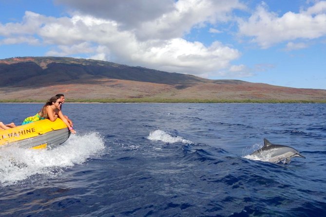 Lanai Deluxe Dolphin Adventure & 3 Snorkel Sites - Crew Expertise and Support