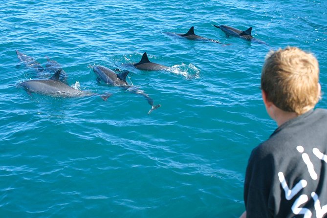 Lanai Snorkel and Dolphin Watch From Maalaea - Important Information