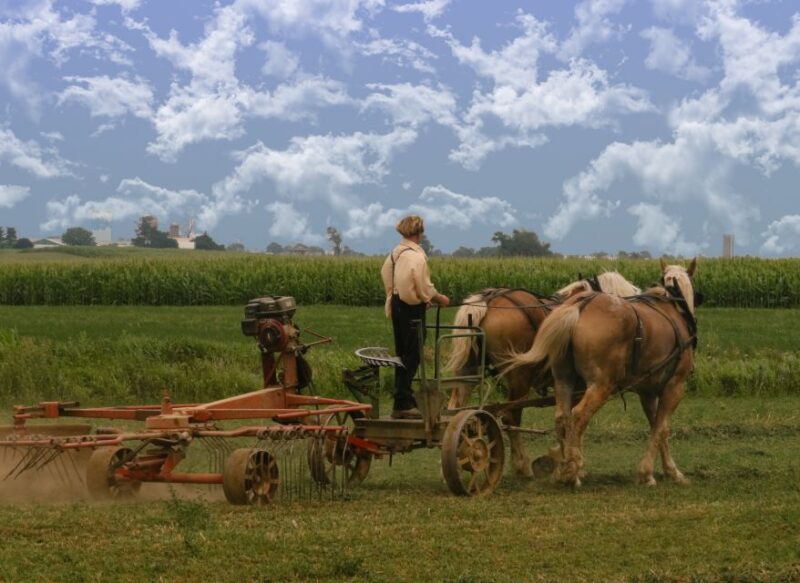 Lancaster County: Amish Farmlands, Museum Tour, Farm Visit - Visitor Information