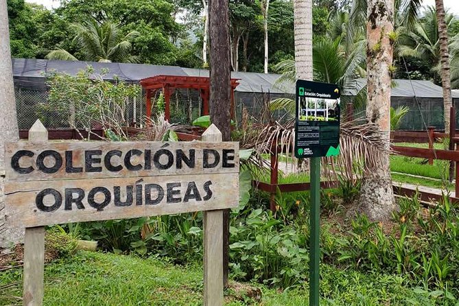 Lancetilla Botanical Garden From San Pedro Sula - Key Points