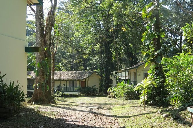 Lancetilla Botanical Garden From San Pedro Sula - Highlights of the Garden