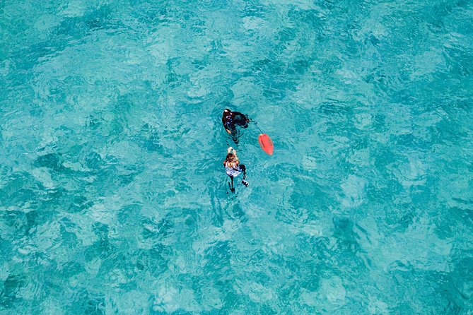 Land and Sea Sightseeing Tour From Nassau - Inclusions and Logistics