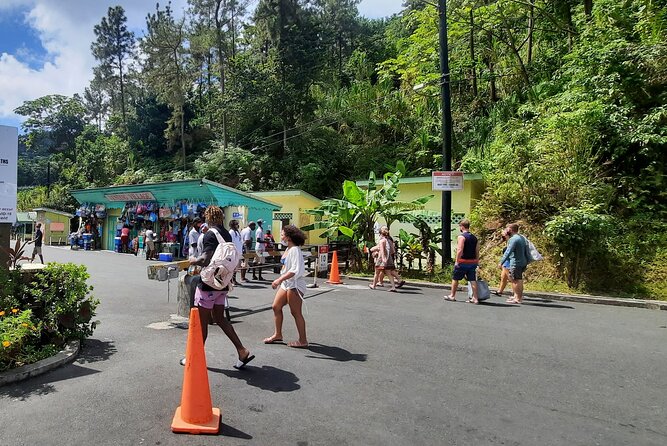 Land and Sea With Snorkeling at Sugar Beach - Inclusions and Pickup Details
