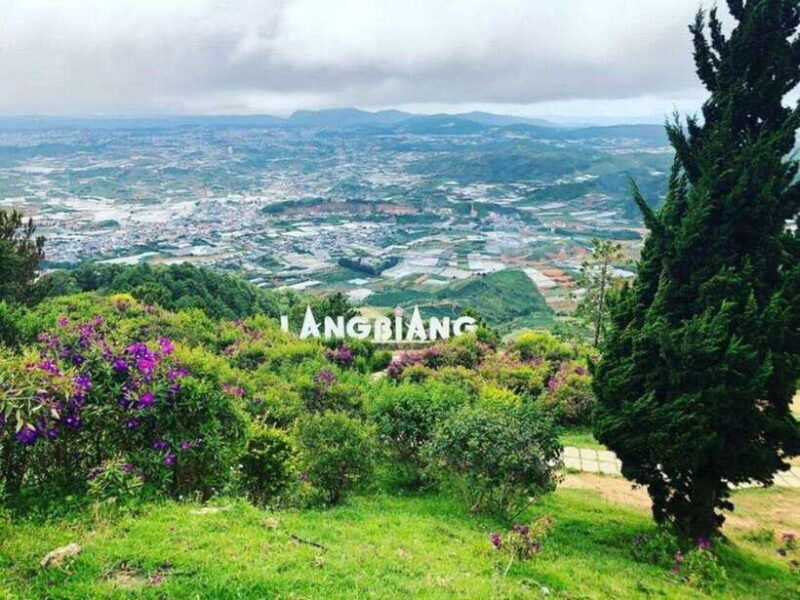 LAND OF THOUSANDS OF FLOWERS IN DA LAT 3D2N - Child and Luggage Policies