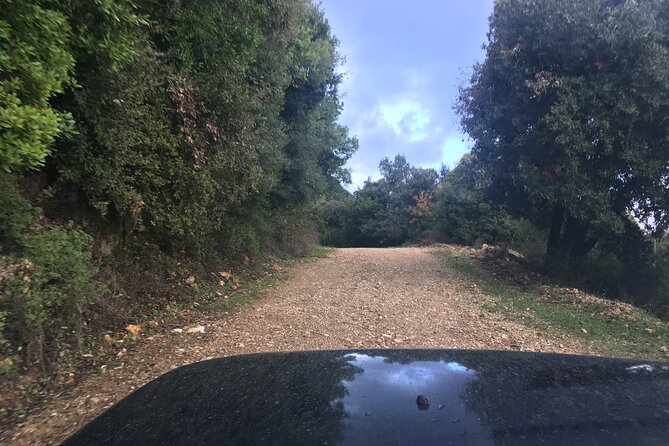 Land Rover Safari Corfu South Route - Hassle-Free Hotel Pickup Locations