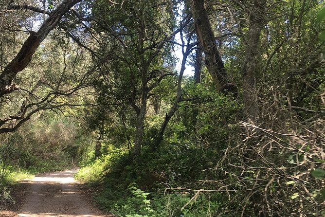 Land Rover Safari in Rhodes South Route - Visiting Small Villages