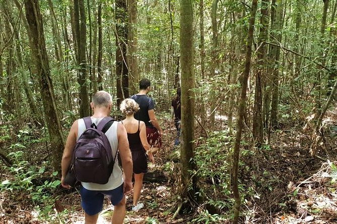 Land Tour 2: Discover the North - Kayaking & Starfish Beach Phu Quoc (Not Lunch) - Tour Specifications