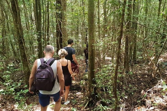 Land Tour 2: Discover the North - Kayaking & Starfish Beach Phu Quoc (Not Lunch) - Exploring Starfish Beach