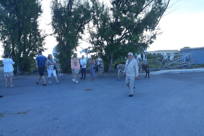 Landmarks of Grand Turk - Relax at Governors Beach