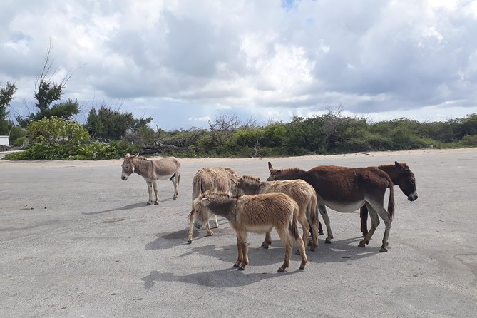 Landmarks of Grand Turk - Experience the Cruise Ship Center